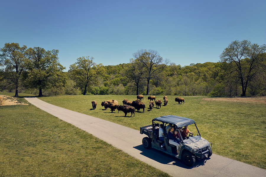 2023_Canyon Discovery_Tour_001_900x600