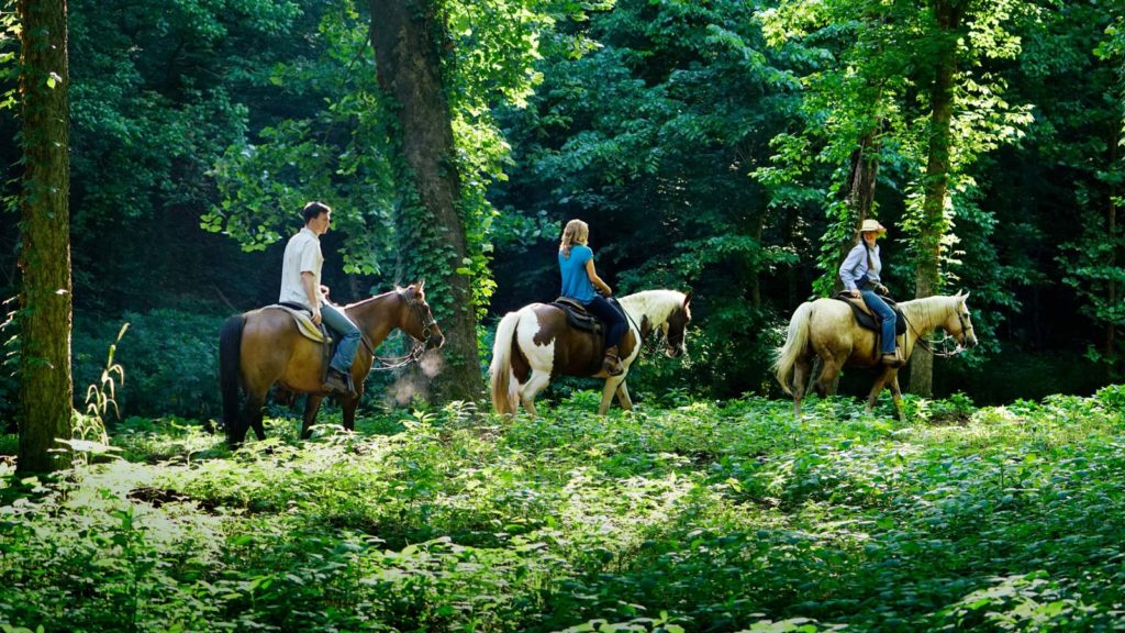 Horseback Riding at Dogwood Canyon