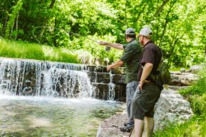 Guided Fishing at Dogwood Canyon