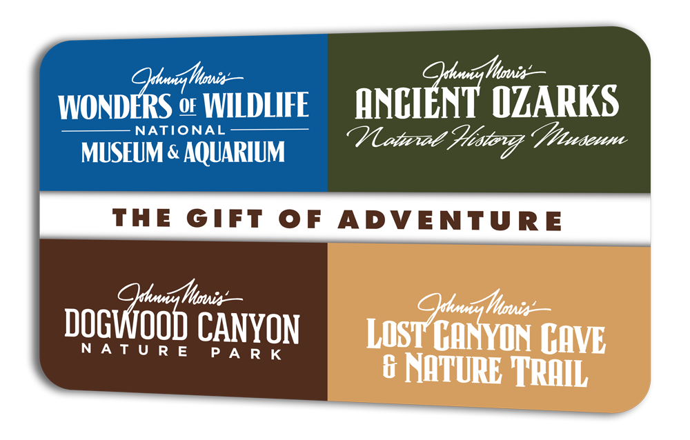 Four_Attraction_Giftcard